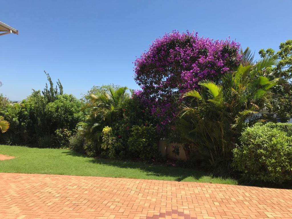 דורבן Somerset In מראה חיצוני תמונה